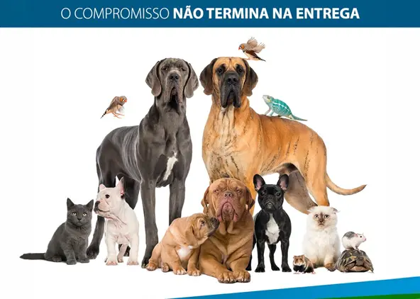 Como garantir que seu pet nasceu em um ambiente saudável e certificado