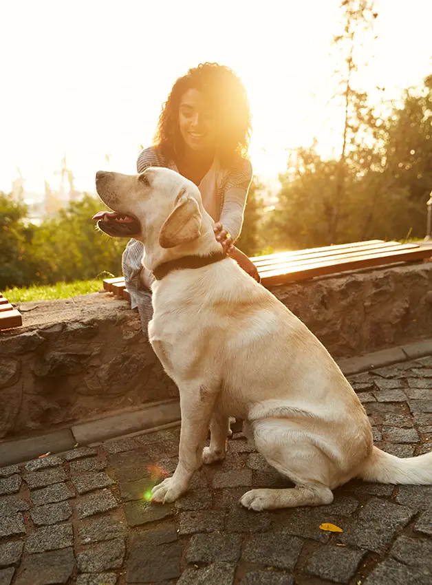Criação responsável de animais de estimação